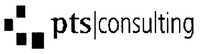 pts consulting