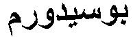 The mark is POSIDORM in Arabic characters.