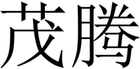 MAO TENG