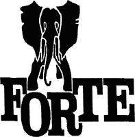 FORTE