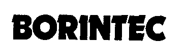 BORINTEC