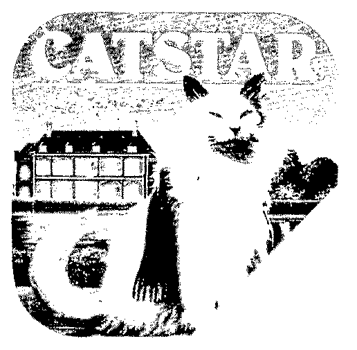 CATSTAR