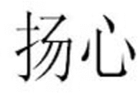  YANGXIN 