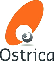 Ostrica