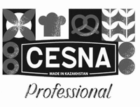 CESNA MADE IN KAZAKHSTAN Professional