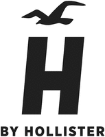 H BY HOLLISTER