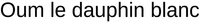 Oum le dauphin blanc