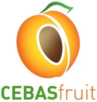 CEBAS fruit