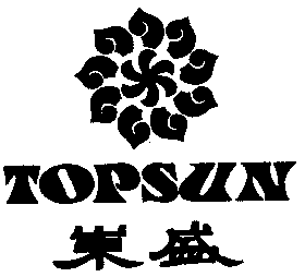 TOPSUN