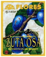FLORES ZUTA OSA