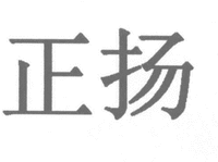 ZHENG YANG.