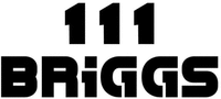 111 BRIGGS