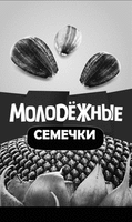 MOLODEZHNYE SEMECHKI