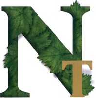 NT