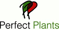 PERFECT PLANTS