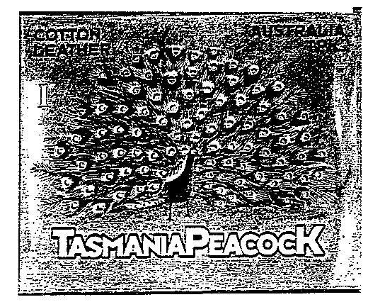 TASMANIAPEACOCK