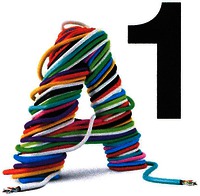 A1