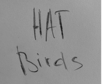 HAT Birds