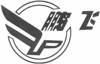 PENG FEI.