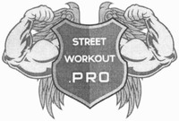 STREET WORKOUT PRO