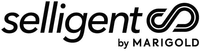 selligent S by MARIGOLD
