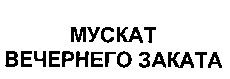 MUSCAT VECERNEGO ZAKATA