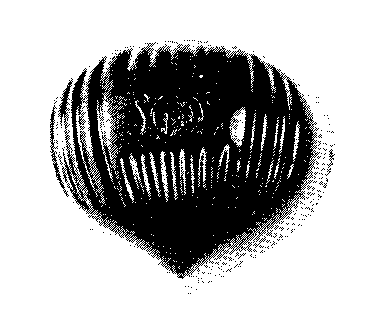 LS