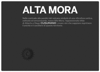 ALTA MORA