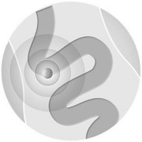 éléments verbaux sans signification