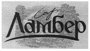  Syr, Lamber 