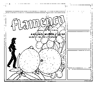 Flamenco