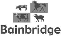 Bainbridge