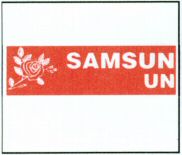 SAMSUN UN