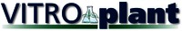 VITRO plant