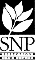 SNP SELECTION NEW PLANT
