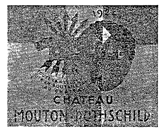 CHÂTEAU MOUTON-ROTHSCHILD