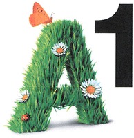 A1