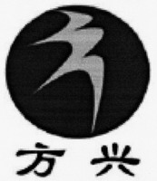 FANG XING.