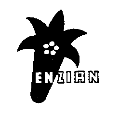 ENZIAN