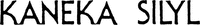 KANEKA SILYL