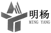 MING YANG