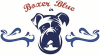 Boxer in Blue