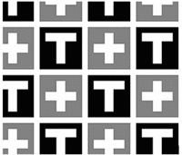 T+