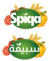 Spiqa