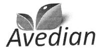 Avedian