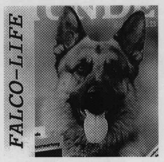 FALCO-LIFE