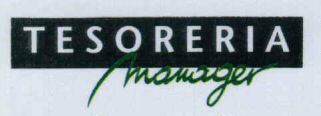 TESORERIA manager