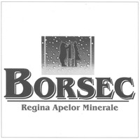 BORSEC Regina Apelor Minerale