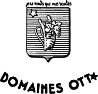 DOMAINES OTT
