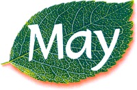 May